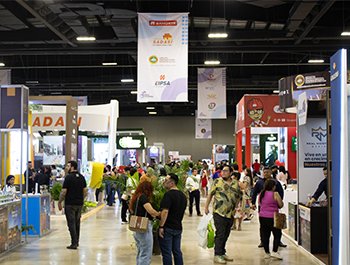 Expo Vivienda Yucatán