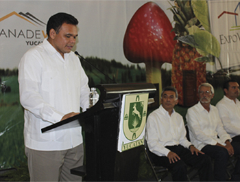 Expo Vivienda 2012