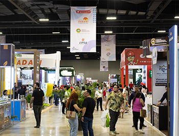 Expo Vivienda 2024