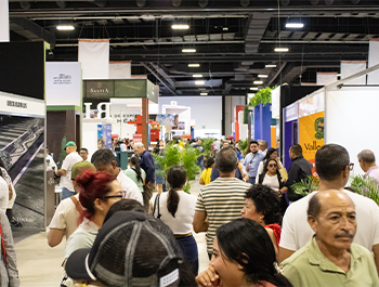 Expo Vivienda 2025